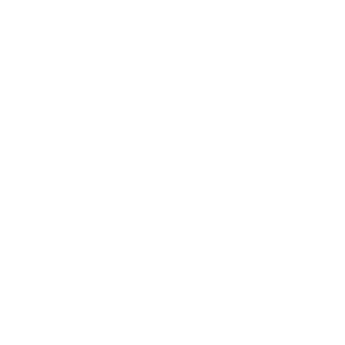 Family Problem Solution